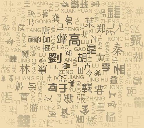 三、从姓氏角度看：不容忽视的文化底蕴底蕴