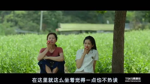 女孩版本（附女孩子案例）