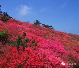 本溪水洞：一个有点土气的溶洞