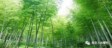 出发！在高速公路上怀疑人生