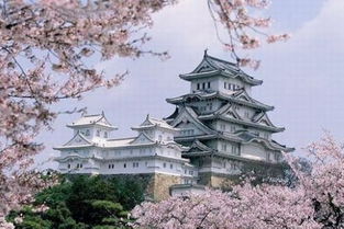 2023年京都成日本旅游双冠王，难道不是全球游客体验古都魅力的最佳选择吗？