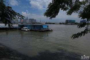 湄公河三角洲的美食之旅