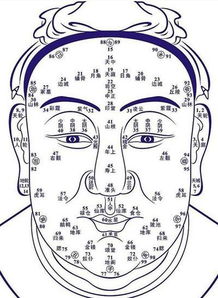 风水玄学大揭秘！家里放这个能保命