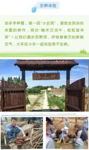 一、 别指望“高大上”，这玩意儿更像是个大棚+游乐场的混搭体