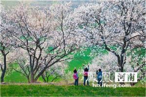 三、门票采购渠道——怎么买最省心？（其实都不省心）