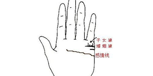 手相能看出什么命，还能判断查时辰吉凶吗？