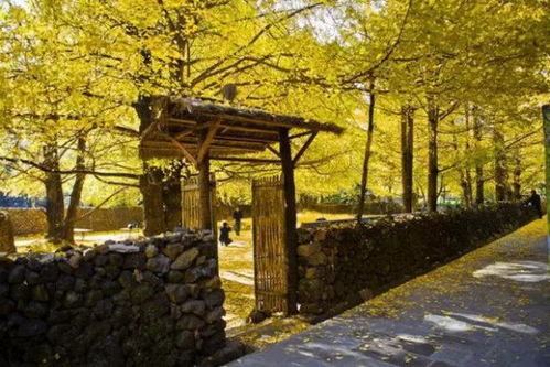 小众景点？就是图个便宜！