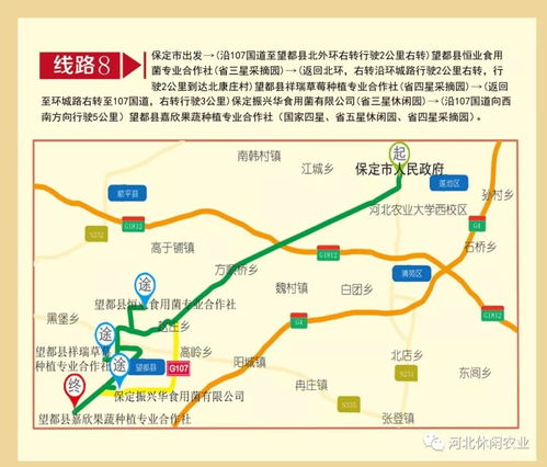 路线规划大乱炖：别被导航忽悠了
