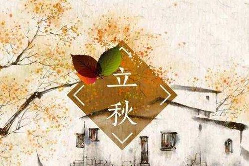 大暑和立秋分别是什么节气？
