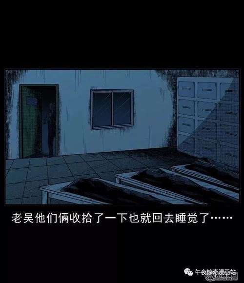 三、风水布局与森林回响——怎么把乱七八糟写进来？