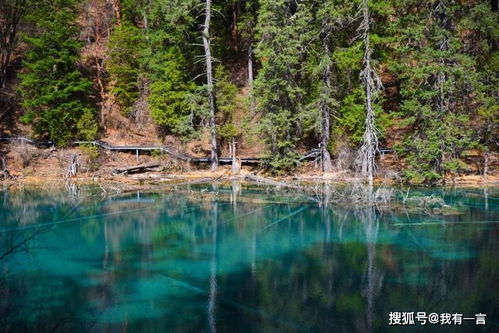 探秘天母湖：一个被隐藏的旅游秘境