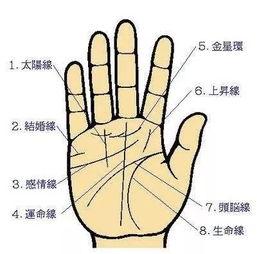 2、 生肖与智慧线——古老符号在现代化社会周边环境