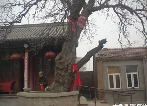 庙前建房子风水如何，距离庙多远最适宜？