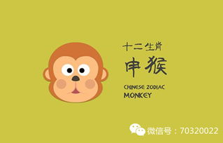 哪个生肖代表的是宽猛并济，即既宽容又严厉的治理方式？