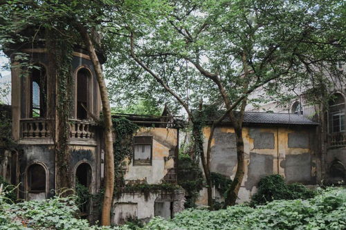 桃花朵朵开的故事 (编一个故事好不好?)