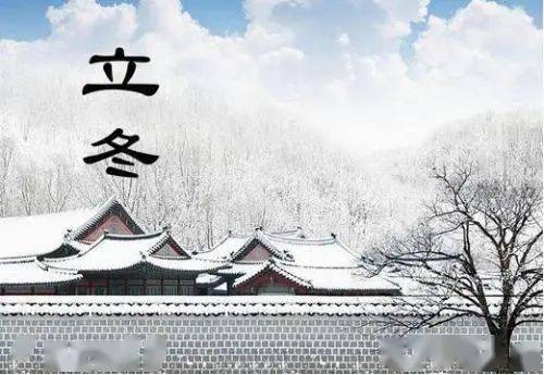 宁波立冬：古韵今风，传统与现代交融爆款