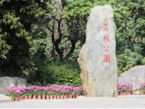 震惊！莆田荔枝园背后的惊天骗局 看完血压飙升