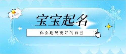 职场持续发展期（19岁以上）