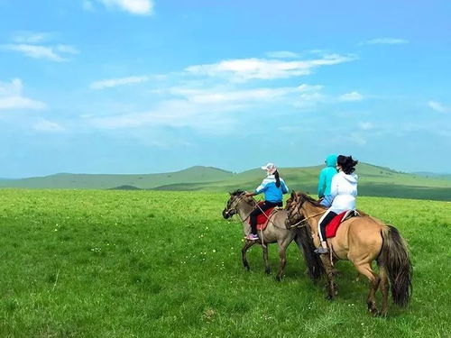 蒙古族风俗深度调研报告，揭秘草原民族魅力！