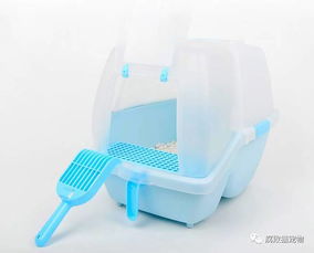 风水角度猫砂盆放在哪里合适,风水角度猫砂盆放在哪里合适