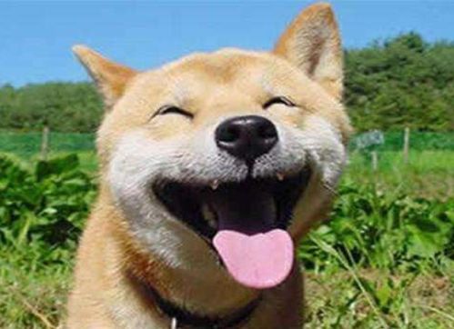 二、先看看八字！丙戌年的命格特点（这一部分一定要仔细读！）