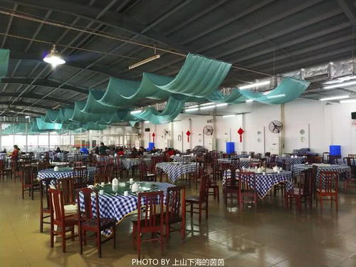 阳江城西那些让人欲罢不能的破烂美食！看完别哭！