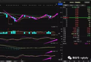 这个数理值10，与零暗：万业终局充满损耗数有什么关联？