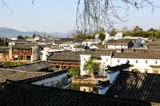 诸葛八卦村：千年古韵藏智慧