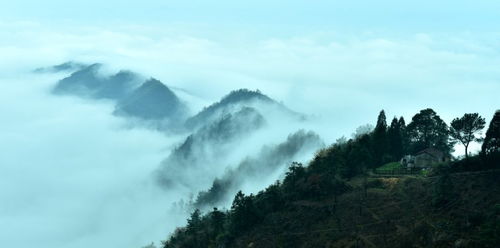3. 缙云山