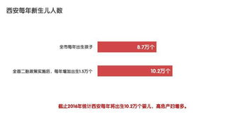 第二站：河流般更多元选择