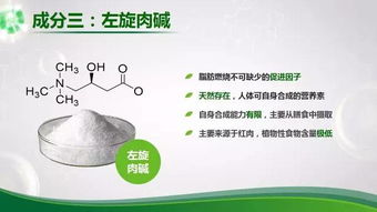 ②辅酶Q10：被忽视却极其重要的小星球！