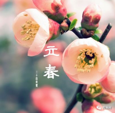 立春迎春必kan：传统习俗+注意事项，春季养生攻略！