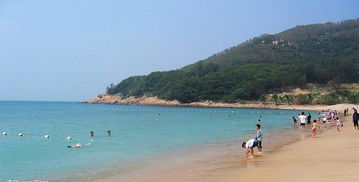 东澳岛门票那些事儿：2026年黄历预警！看完这篇你还能省下买棺材本的钱