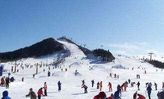 二、 徐州较大景山滑雪场