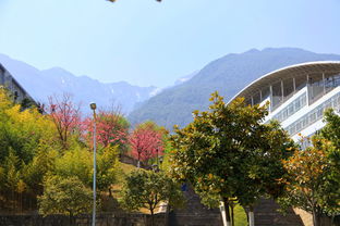 春日鹿回头， 黄昏浪漫约——一场“烂”到极致的旅行狂想