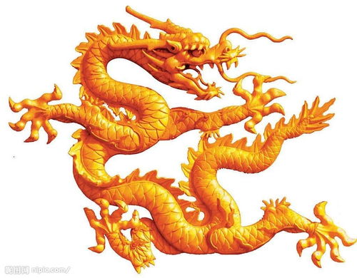 属龙的人2026年感情运势如何？
