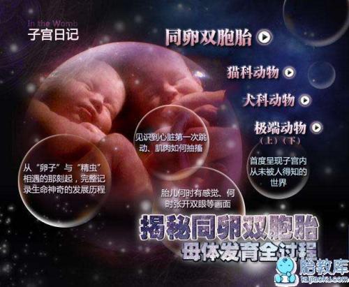 子宫环境如何影响指纹？（哎呀呀…复杂！）