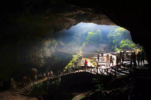 行业深度洞察：金鸡岩旅游的未来