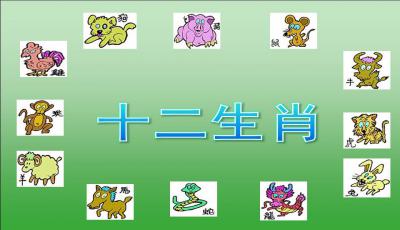 十二生肖运势模板化具体指的是什么？