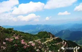哎呦喂！栾川这趟五一之旅，我差点就迷路了！