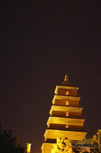 第一天：古都西安，穿越千年的文化之旅
