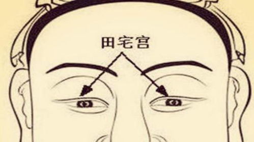 四、 鼻子：财富有的通道