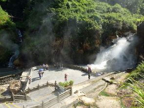 美食暴击！舌头都要吞下去了