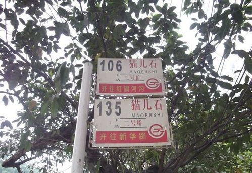 二、准备工作：随手粘贴随机文字碎片