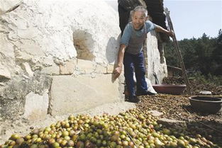 第一章：那张该死的地图！
