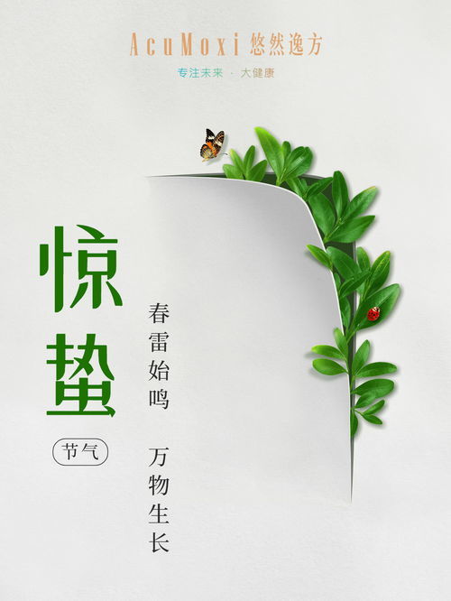 六、 传统习俗与现代创新混搭