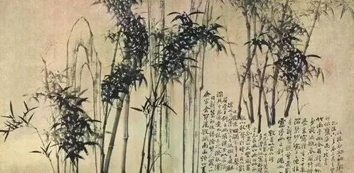 噪音点滴：咔咔声声