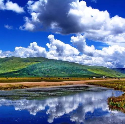 抵达呼和浩特——城市与草原的奇妙交汇