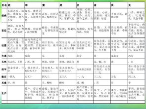 真人真事！我朋友用梅花算命差点被开除