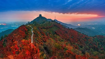 第二台阶：攀登高峰，领略自然之美